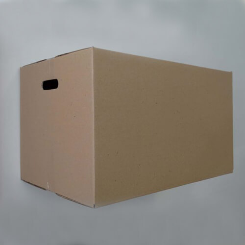 Medium storage box with handles