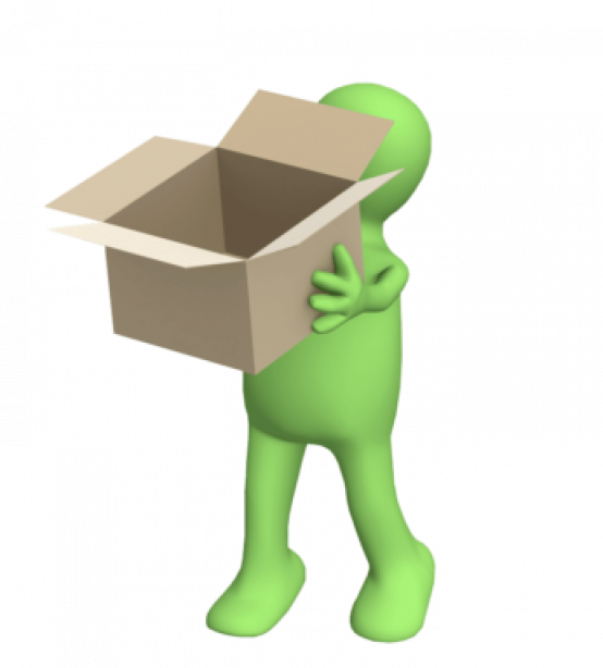 Animated figure carrying box